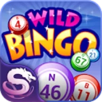 wild bingo android application logo